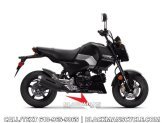 New 2026 Honda Grom