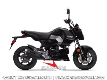 New 2026 Honda Grom