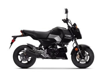 New 2026 Honda Grom