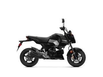 New 2026 Honda Grom