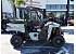 New 2026 Honda Pioneer 520