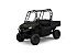 New 2026 Honda Pioneer 700 Deluxe