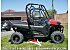 New 2026 Honda Pioneer 700