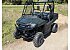 New 2026 Honda Pioneer 700 Deluxe