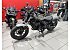 New 2026 Honda Rebel 300 ABS