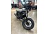 New 2026 Honda Rebel 300 ABS