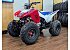 New 2026 Honda TRX250X