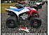 New 2026 Honda TRX250X