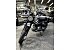 New 2026 Honda Trail 125