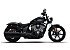 New 2026 Indian Chief