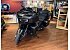 New 2026 Indian Pursuit Dark Horse