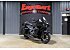 New 2026 Indian Pursuit Dark Horse