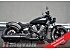 New 2026 Indian Scout
