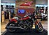 New 2026 Indian Scout 101 Scout