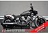 New 2026 Indian Scout