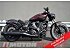 New 2026 Indian Scout