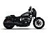 New 2026 Indian Sport Chief
