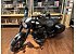 New 2026 Indian Springfield Dark Horse