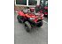 New 2026 Kawasaki Brute Force 300