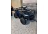 New 2026 Kawasaki Brute Force 300