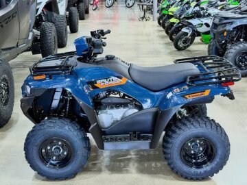 New 2026 Kawasaki Brute Force 300