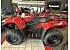 New 2026 Kawasaki Brute Force 450