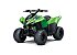 New 2026 Kawasaki KFX50