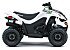 New 2026 Kawasaki KFX50