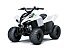 New 2026 Kawasaki KFX50