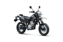 2026 Kawasaki KLX110 300SM specifications