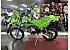 New 2026 Kawasaki KLX110R L