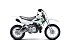 New 2026 Kawasaki KLX110R