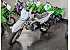 New 2026 Kawasaki KLX110R