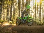 Thumbnail Photo 5 for New 2026 Kawasaki KLX300