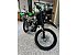 New 2026 Kawasaki KLX300