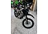 New 2026 Kawasaki KLX300