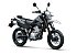 New 2026 Kawasaki KLX300