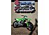 New 2026 Kawasaki KX450