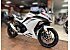 New 2026 Kawasaki Ninja 300