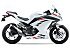 New 2026 Kawasaki Ninja 300