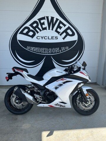 New 2026 Kawasaki Ninja 300