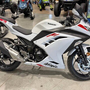 New 2026 Kawasaki Ninja 300