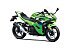 New 2026 Kawasaki Ninja 500