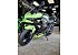 New 2026 Kawasaki Ninja 500