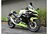 New 2026 Kawasaki Ninja 500