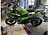 New 2026 Kawasaki Ninja 500