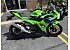 New 2026 Kawasaki Ninja 500