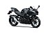 New 2026 Kawasaki Ninja 500 ABS