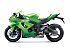New 2026 Kawasaki Ninja ZX-10RR