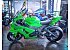 New 2026 Kawasaki Ninja ZX-10RR